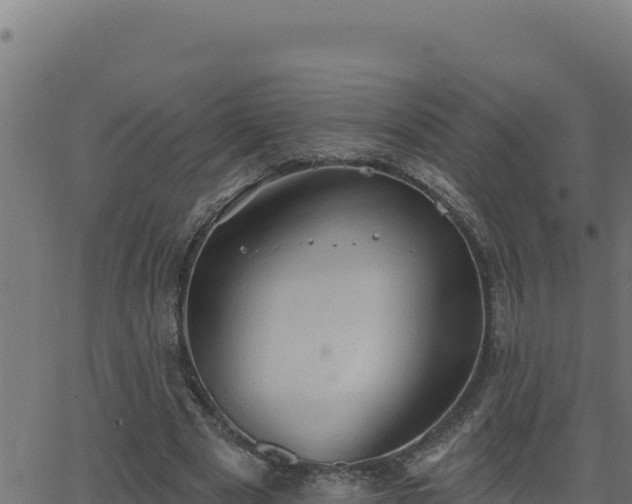 X0000062890489200601171517