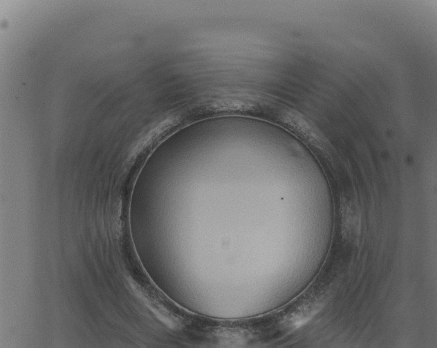 X0000062890490200601171517