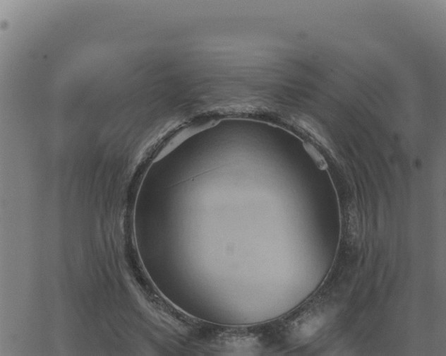 X0000062890491200601171517