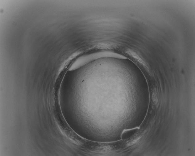 X0000062890492200601171517