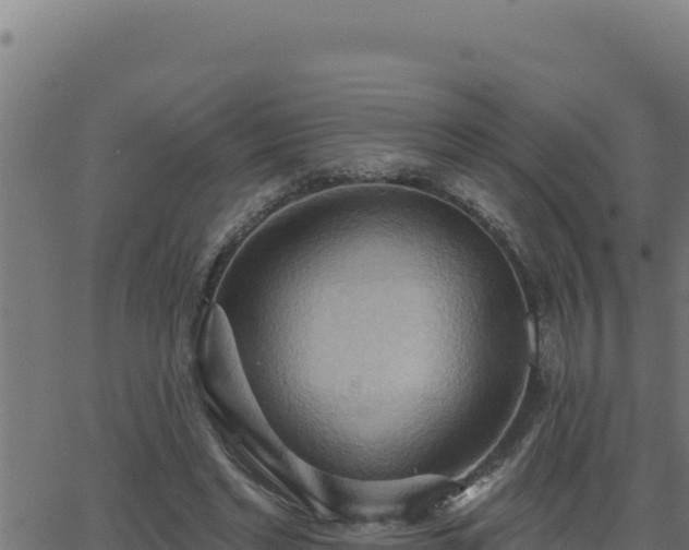 X0000062890493200601171517