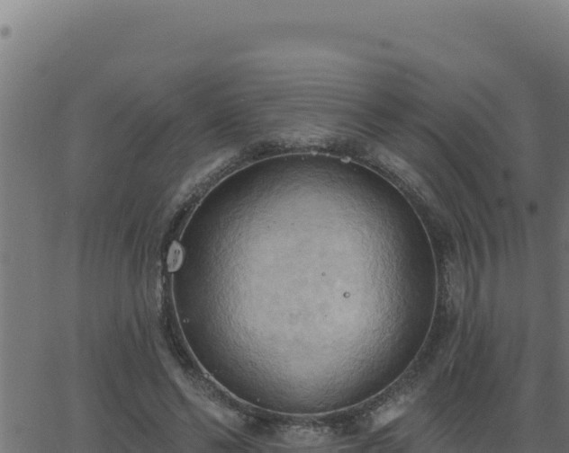 X0000062890494200601171517