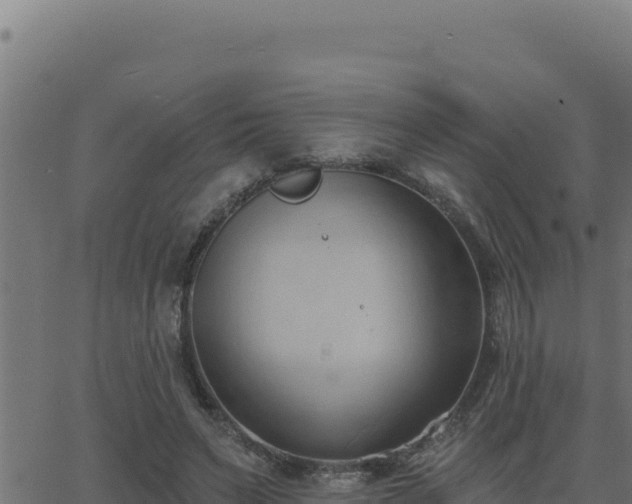 X0000062890495200601171517