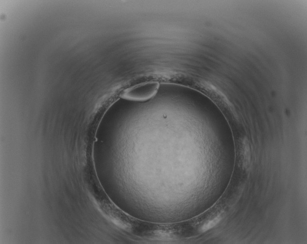 X0000062890496200601171517