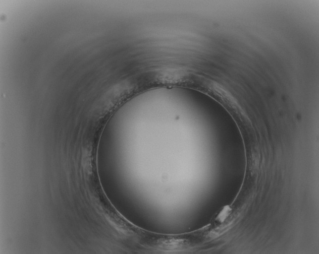 X0000062890497200601171517