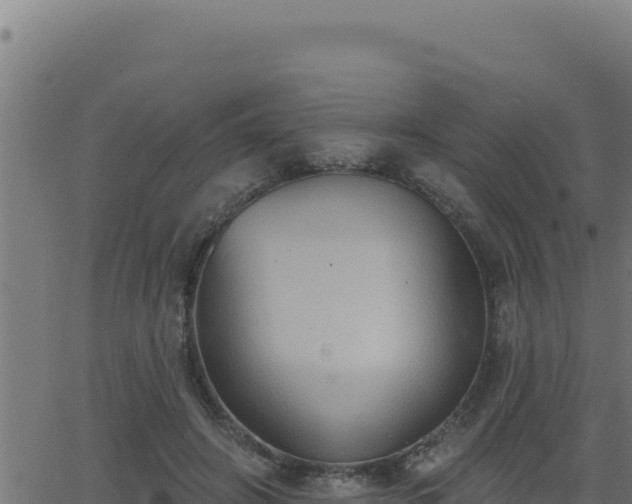 X0000062890498200601171517