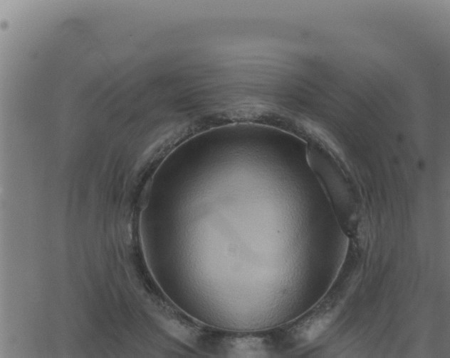 X0000062890501200601171517