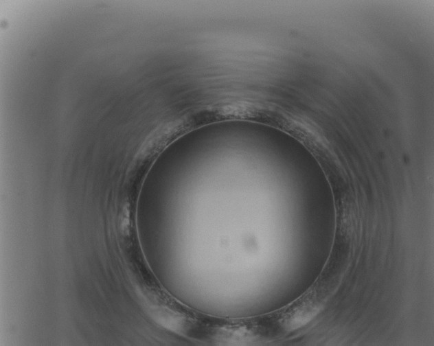 X0000062890502200601171517