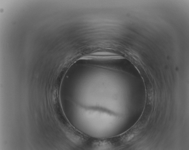 X0000062890503200601171517