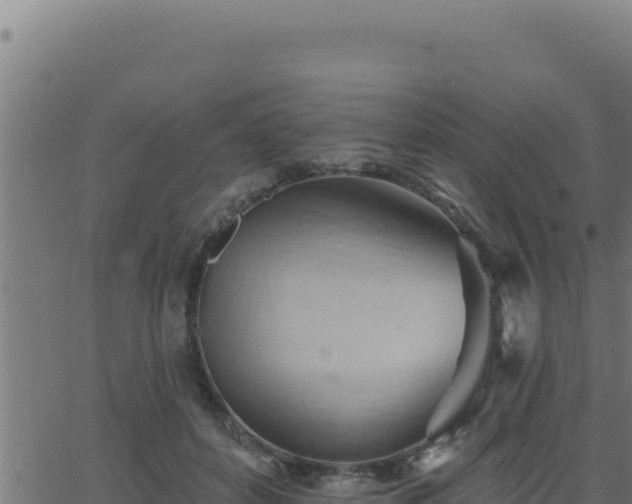 X0000062890504200601171517