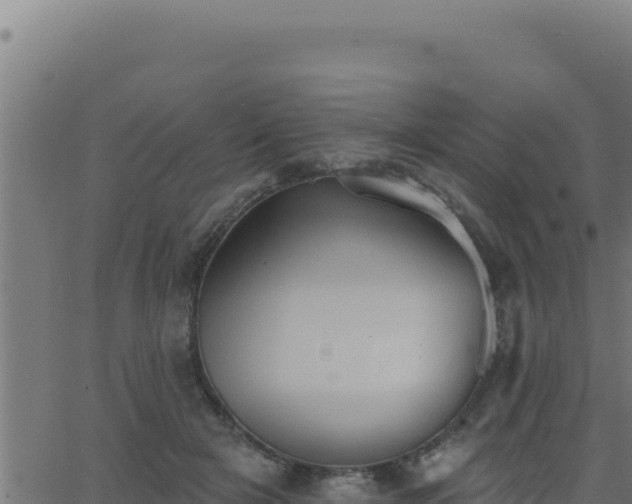 X0000062890505200601171517