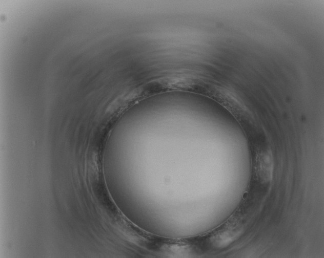 X0000062890506200601171517