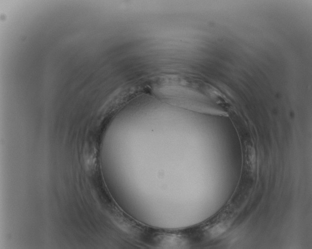 X0000062890507200601171517