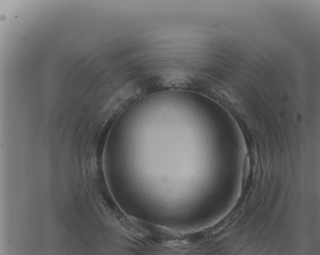 X0000062890508200601171517