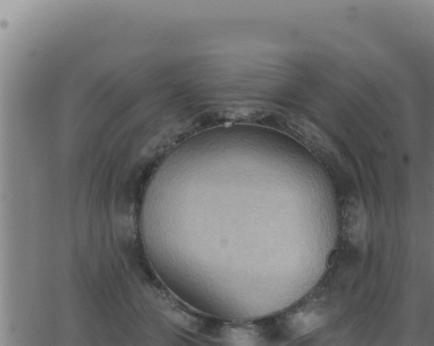 X0000062890510200601171517