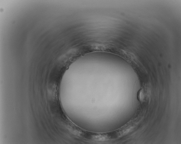 X0000062890511200601171517