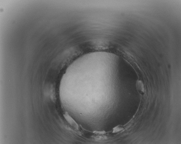 X0000062890512200601171517