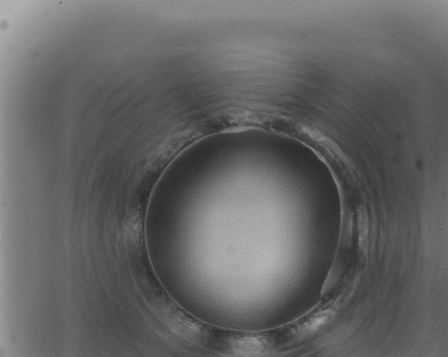 X0000062890513200601171517