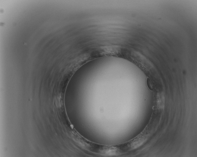 X0000062890514200601171517