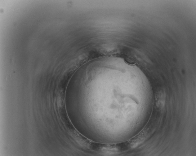 X0000062890515200601171517