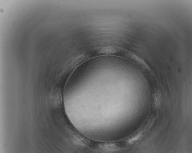 X0000062890517200601171517