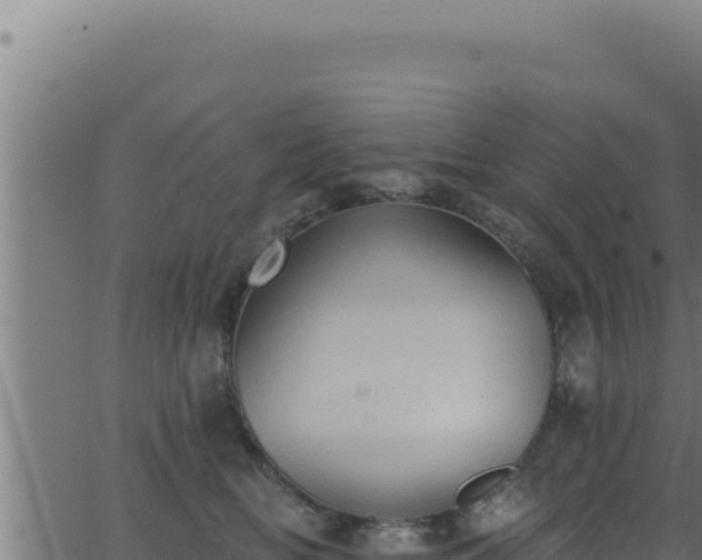 X0000062890518200601171517