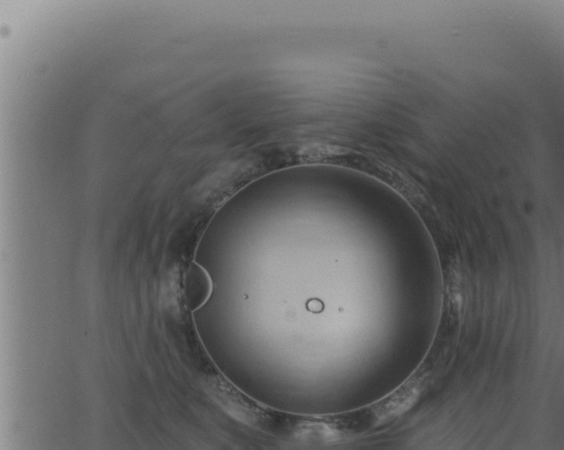 X0000062890519200601171517