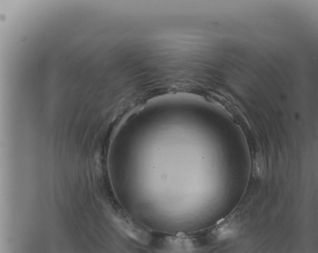 X0000062890520200601171517