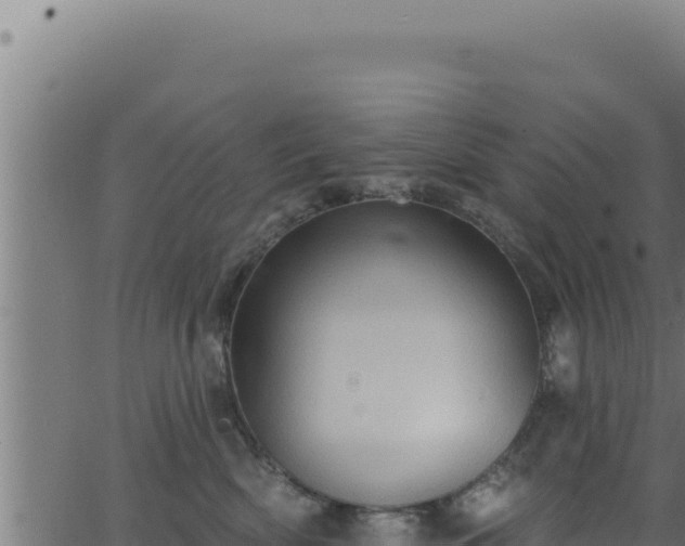 X0000062890522200601171517