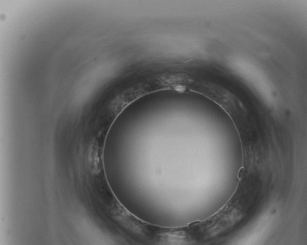 X0000062890525200601171517