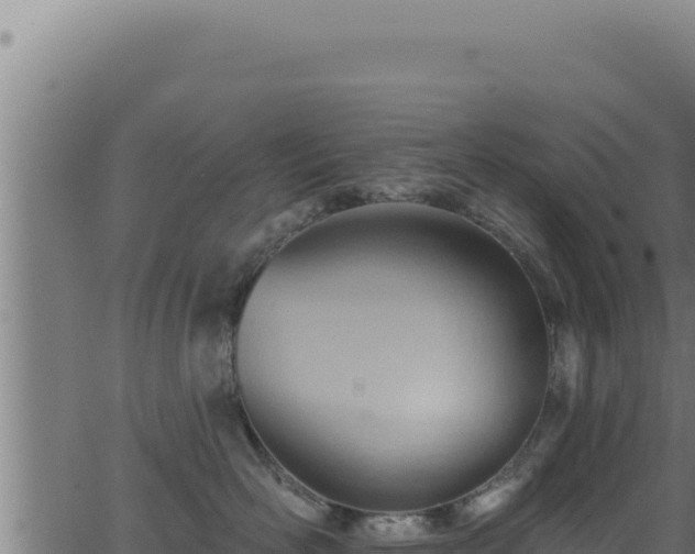 X0000062890526200601171517