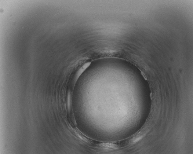 X0000062890528200601171517