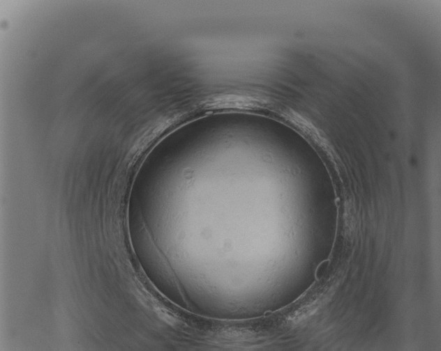 X0000062890529200601171516