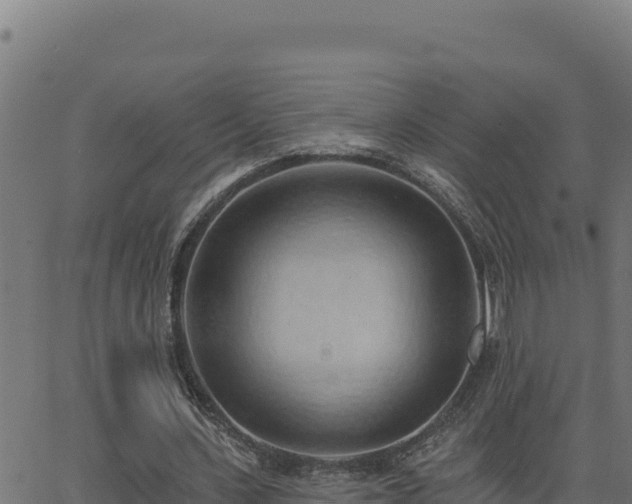 X0000062890531200601171516