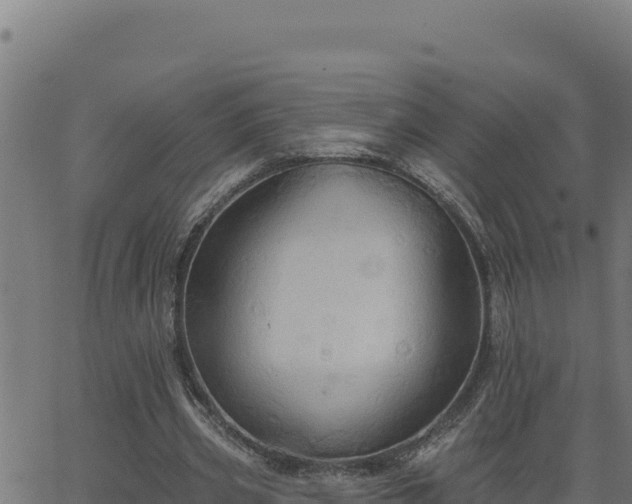 X0000062890533200601171516