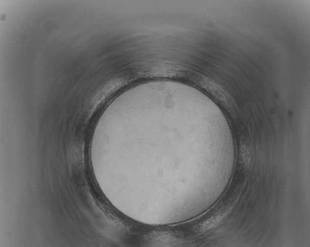 X0000062890534200601171516