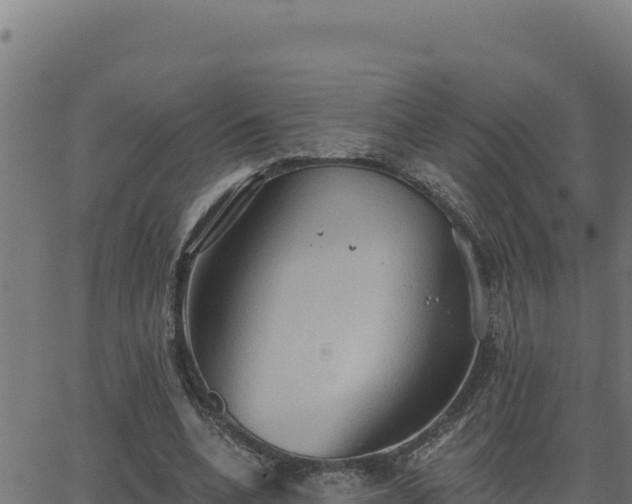 X0000062890536200601171516