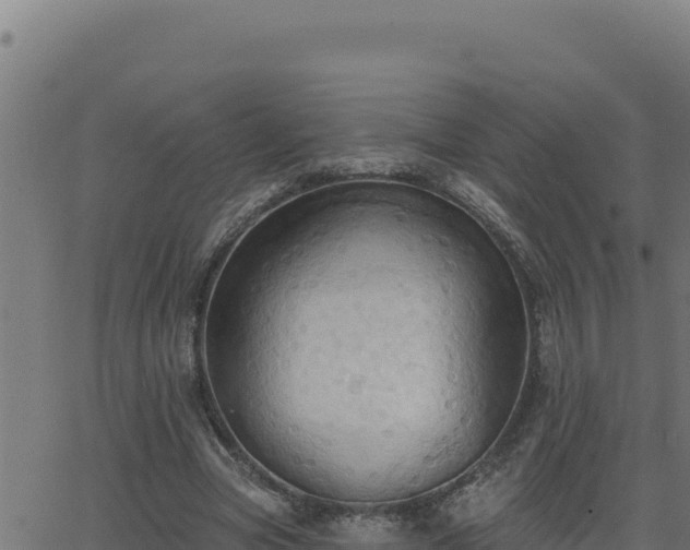 X0000062890537200601171516