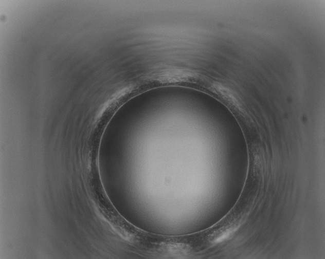 X0000062890539200601171516