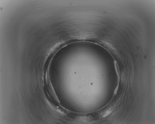 X0000062890540200601171516