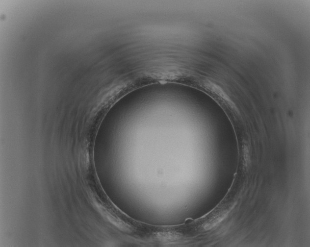 X0000062890541200601171516