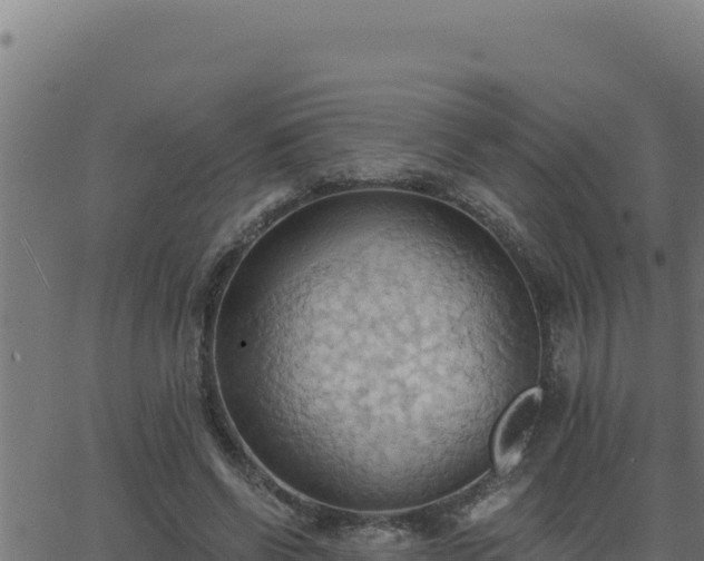 X0000062890542200601171516