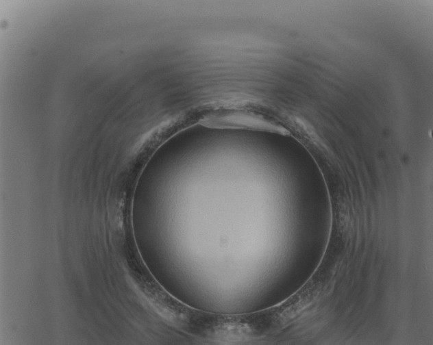 X0000062890543200601171516