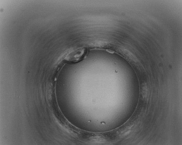 X0000062890544200601171516