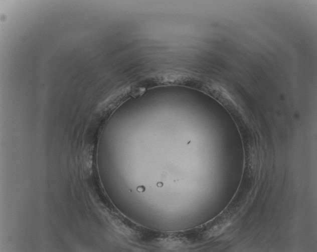 X0000062890545200601171516