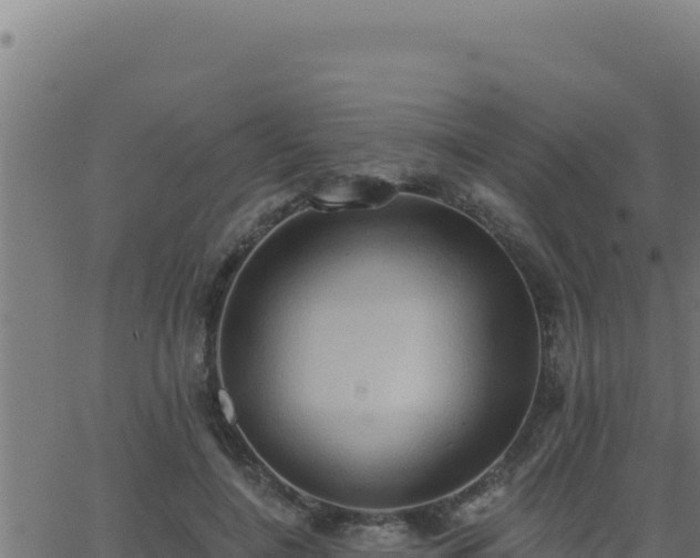 X0000062890548200601171516