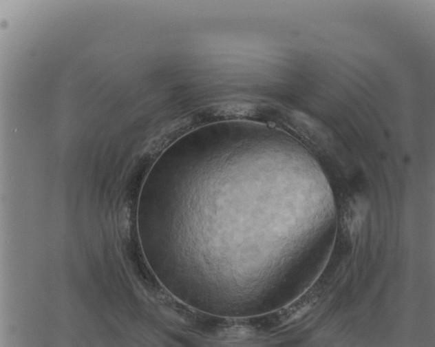 X0000062890551200601171516