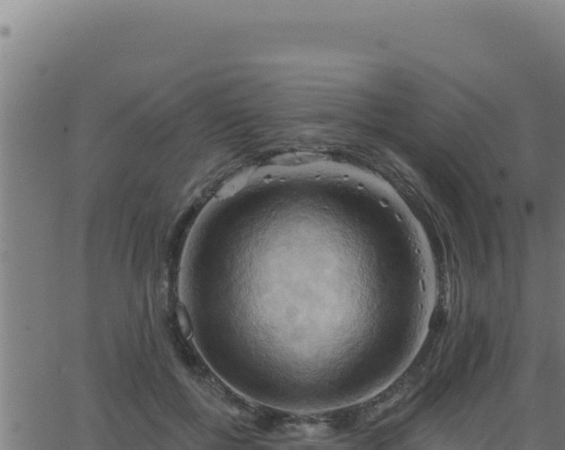 X0000062890552200601171516