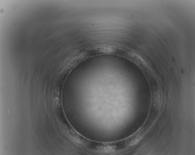 X0000062890553200601171516