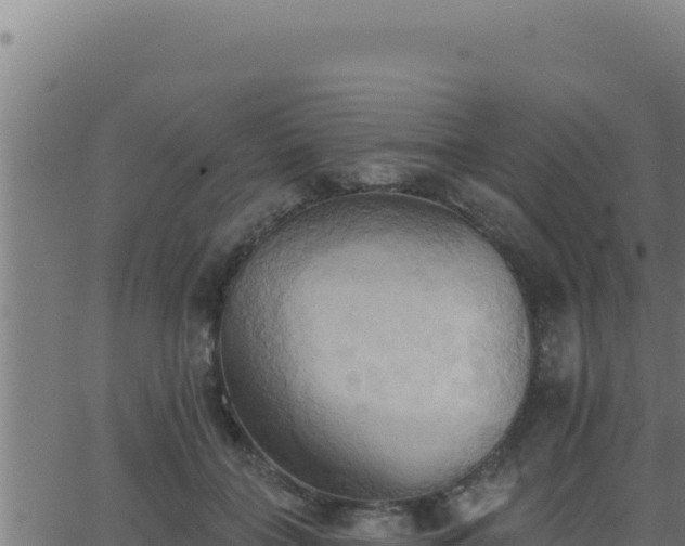 X0000062890555200601171516